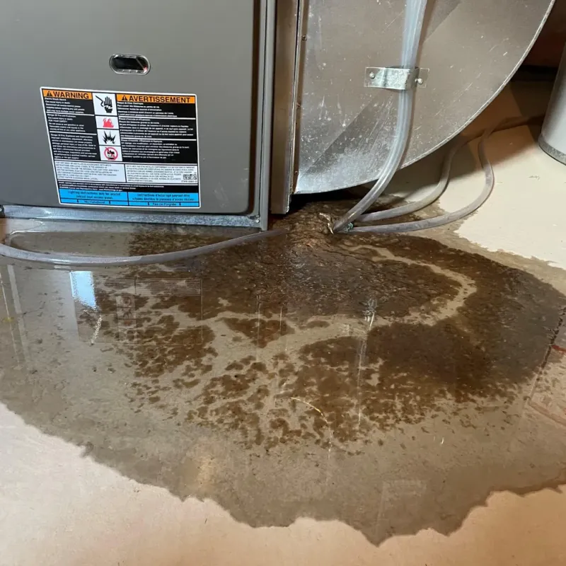 Appliance Leak Cleanup in Minerva Park, OH