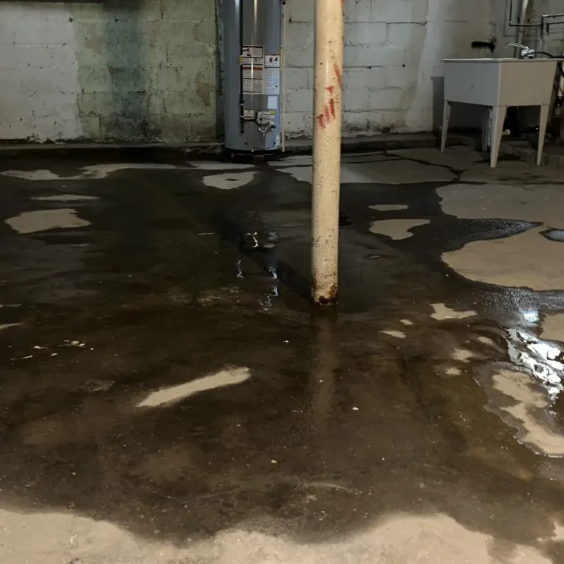 Emergency Water Extraction And Removal in Minerva Park, OH